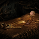 Illustration for article titled Tree Queen